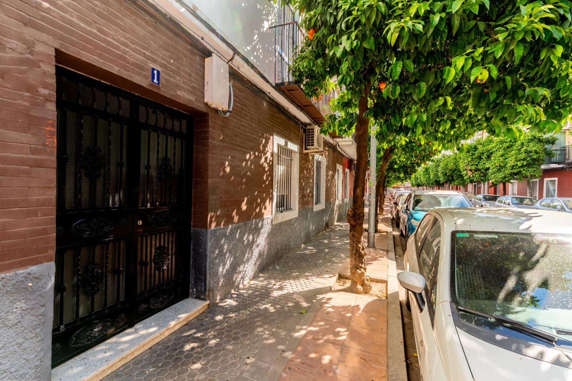 Confortable Apto. 3 Habitaciones Seville Exterior photo